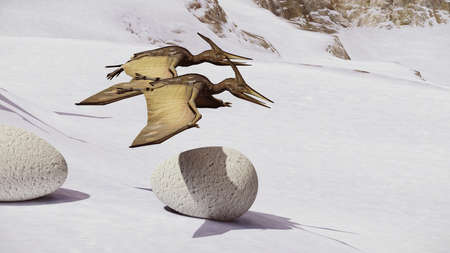 Egg and pterodactyl 3d renderingの写真素材