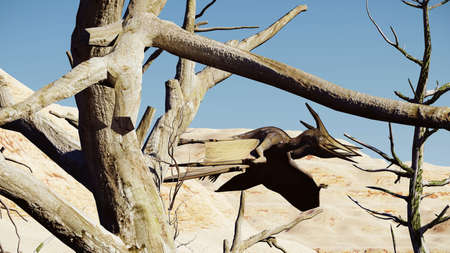 Flying pterodactyl against the beautiful cloudscape 3d illustrationの写真素材