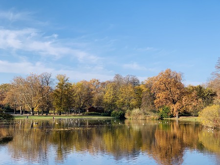 Splendid autumn light in parkの写真素材