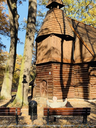 Splendid autumn light in parkの写真素材