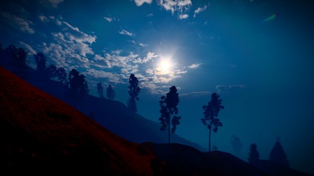 Forest in the mountains at duskの写真素材