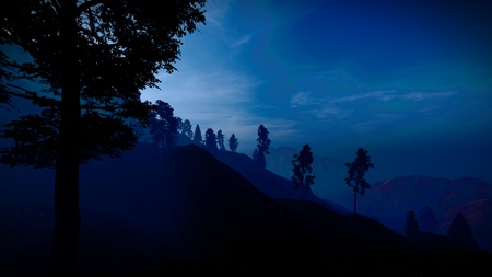 Forest in the mountains at duskの写真素材