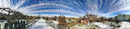 Allotments in a snowy winter