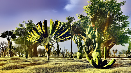 Awesome baobabs in African savannah 3d renderingの写真素材