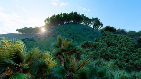 Jungle hills, Ishigaki Island Okinawa Japanの写真素材