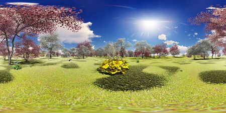 Flowering dogwood trees in orchard in spring time in 360 panoramaの写真素材