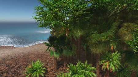 Palm trees and tropical beachの写真素材