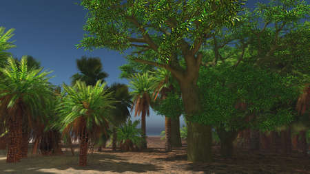 Palm trees and tropical beachの写真素材