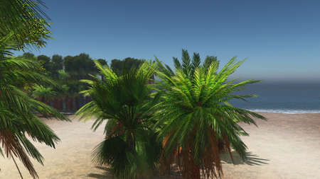Palm trees and tropical beachの写真素材