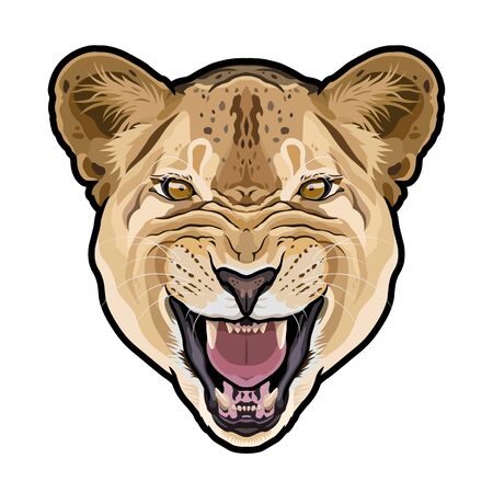 Lioness animal cute face. Vector African wild lion cat head portrait.のイラスト素材