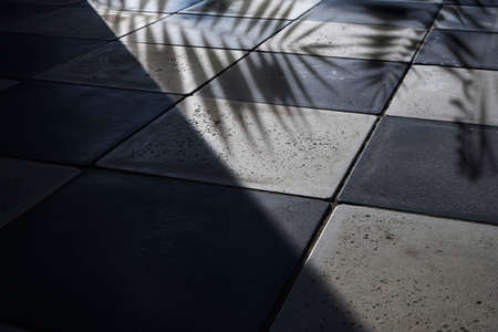 Black and white ceramic floor with plants shadowsの写真素材