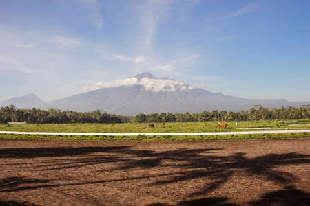 Horse racecourse field with gorgeous landscape at Merbabu Mountain, in Tegal Waton Central Java,...