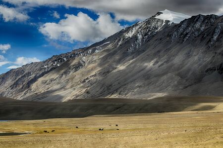 Mountain Range Near Tsomoriri Lakeの写真素材