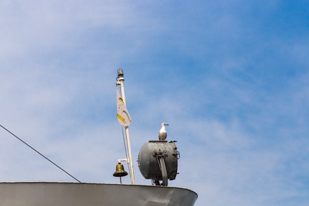 Seagulls in the city, seagulls in Istanbulの写真素材