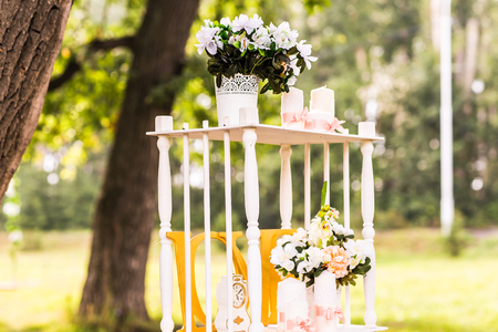 Beautiful wedding decorations in a forest gladeの写真素材