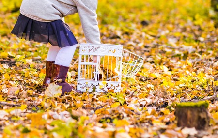 Girl with a birdcage  in the autumn forestの写真素材