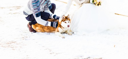 Husky dog  playing with  man and  womanの写真素材