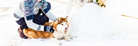 Husky dog  playing with  man and  womanの写真素材