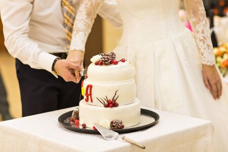 White Wedding Cake, Wedding Cake in Christmas styleの写真素材