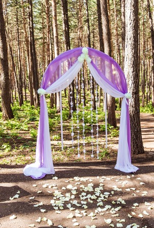 Wedding arch of purple roses, wedding decorの写真素材