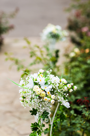 Beautiful  rose in a garden. Flowers in a gardenの写真素材