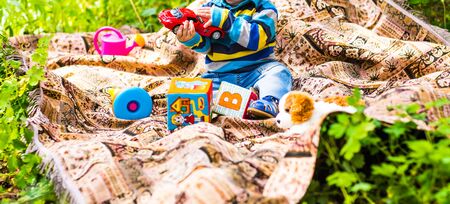 little boy child sitting on the grass in summer dayの写真素材