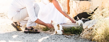 young man and woman feeding  cats in a parkの写真素材