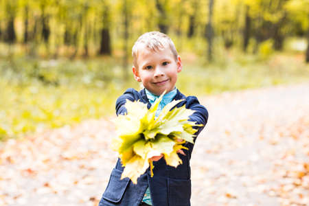 boy with autumn leaves in a parkの写真素材