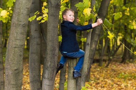 boy climbs up the tree in autumn park. Octoberの写真素材