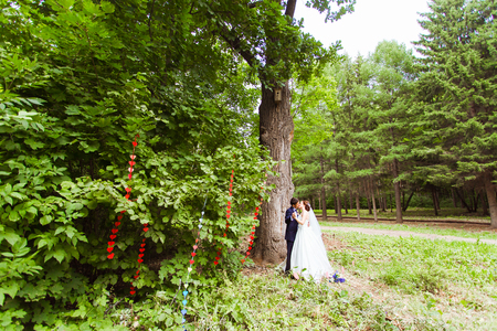 happy bride and groom at a park on their wedding dayの写真素材