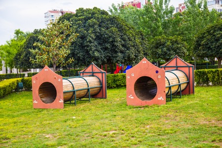 playground for dogsの写真素材