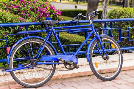 bicycle in park. Blue bike in parkの写真素材