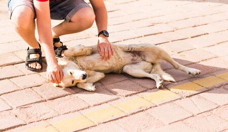 Young man stroking  playful dog - Concepts of friendship,pets,togetherness