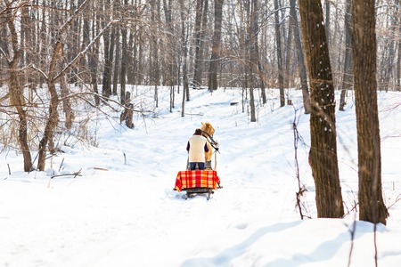 man with sledge pulled by horses outdoor in winter.