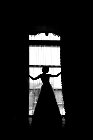 silhouette of the bride weared in dress and veilの写真素材