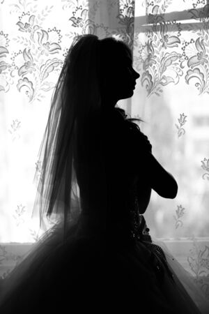 Silhouette of the bride weared in dress.の写真素材