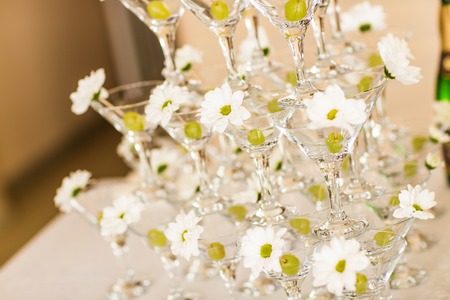 Champagne glass pyramid with white chrysanthemums. banquetの写真素材