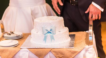 White Wedding Cake with a large blue bow.の写真素材