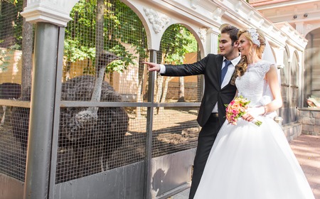 bride and groom and ostrich in zoo.の写真素材
