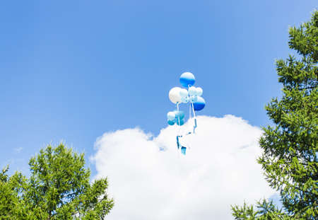 multicolored balloons flying in the blue skyの写真素材
