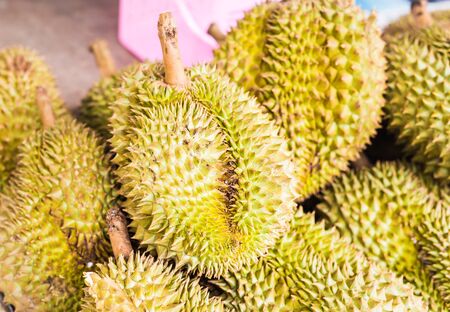 Group of durian in the market, Exotic fruitsの写真素材