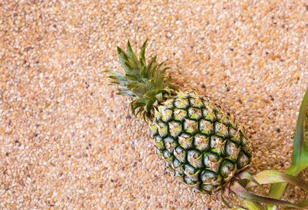pineapple with copy space over background in tropical theme.の写真素材