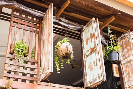 Beautiful flower pot. Herbs in plant pots growing
