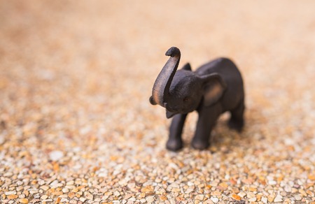handmade wooden elephant close up on backgroundの写真素材