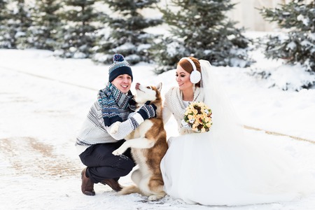 Wedding couple and a cute dog in winter time.の写真素材