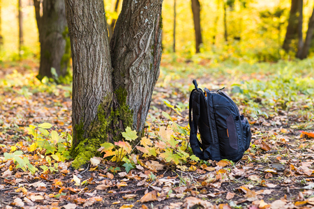 backpack in the woods concept travel tourism.