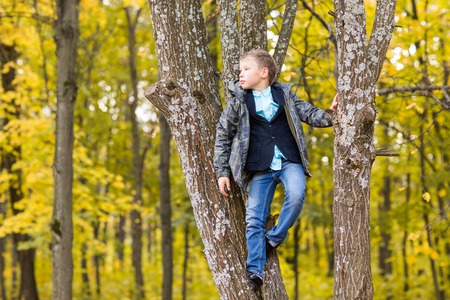 Cute teenager boy sitting on a branch of tree in autumn park.の写真素材