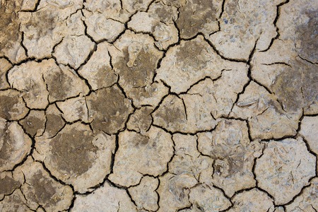 Dried earth because of rain dose not fall and the land lacked of water for agriculture.
