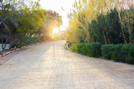 Empty street at the nice and comfortable great gardenの写真素材