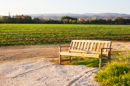 Outdoor nature wooden bench in zen garden styleの写真素材